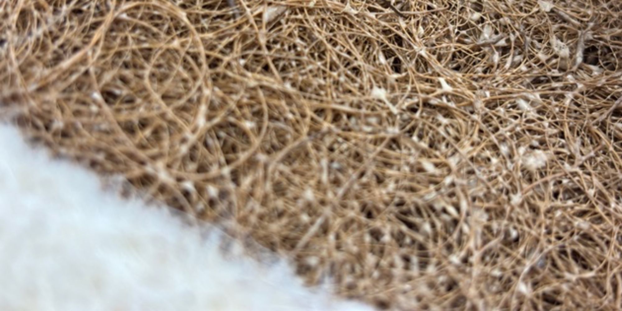 needled wool