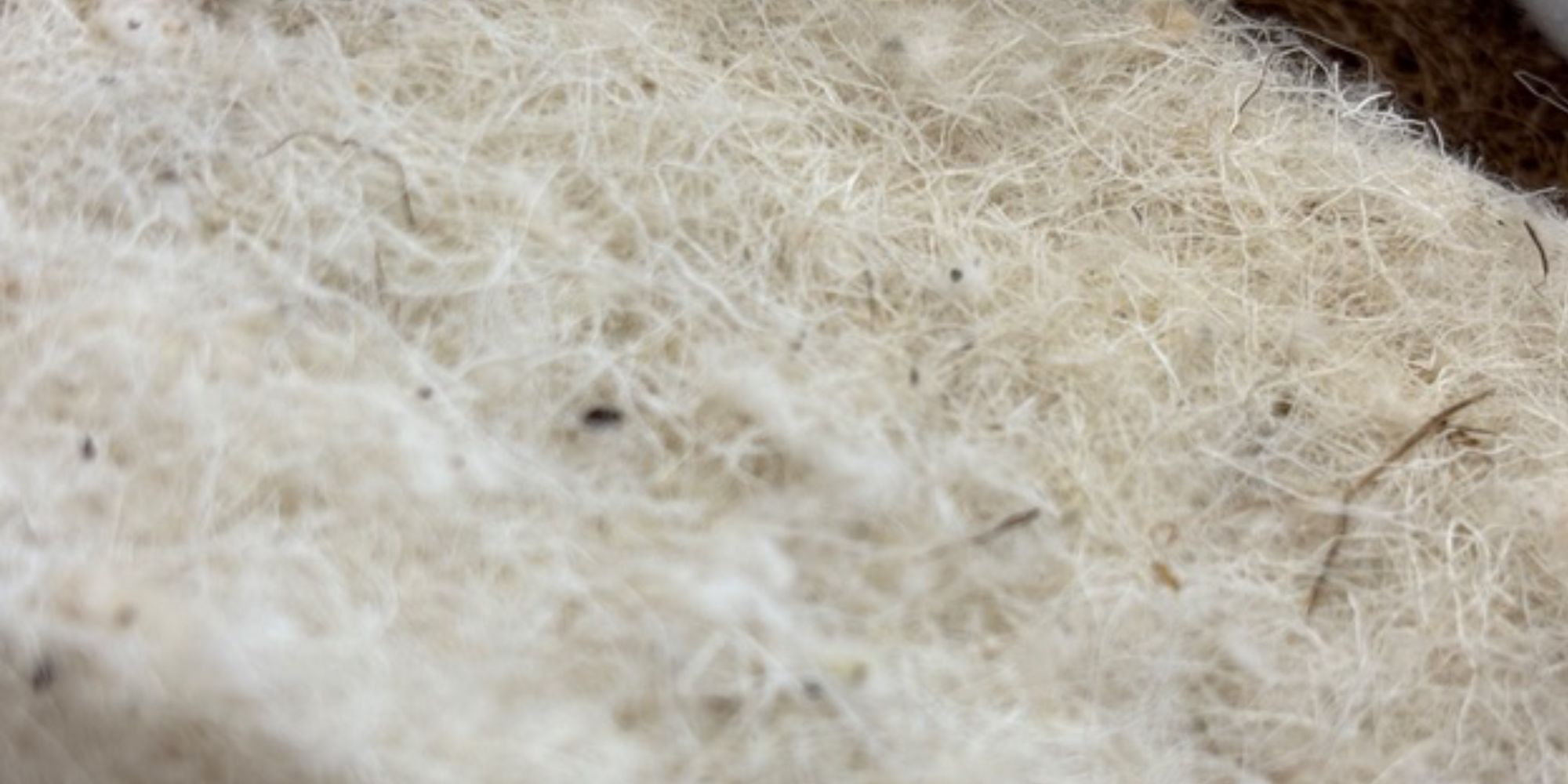 wool mix